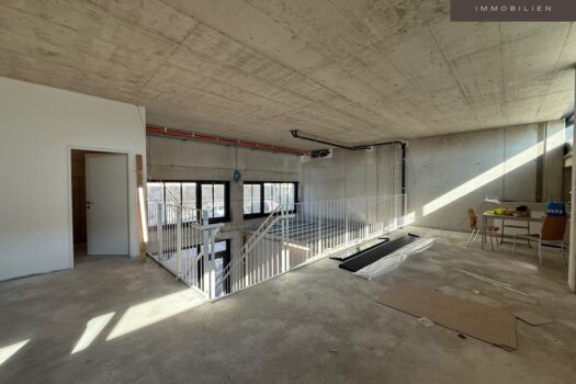 3KYHflC0dP1VGG6oVmwHUC