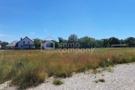 3MyhyX1gfTkkOCvOxPzy