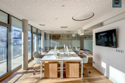 3QSWbtpk1dLi1Bnz208aaQ 1