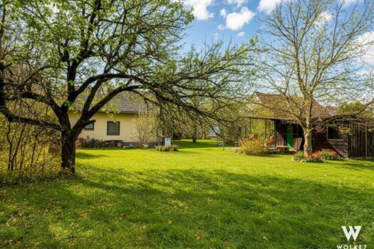 3Uy5WJQrOrulMgYtmSiamH