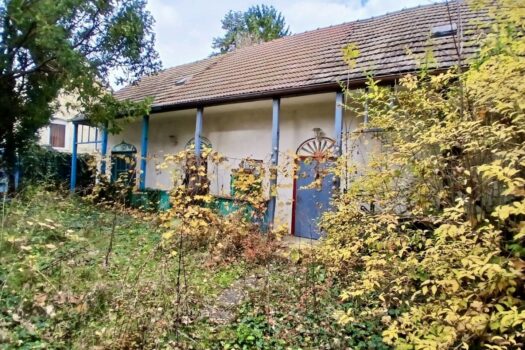 3WhmYVxCJBVOHzqQ1G3H13