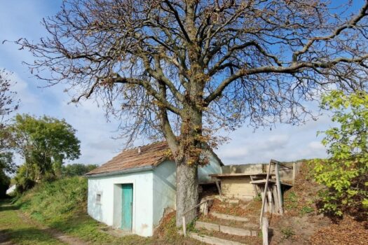 3aq6UQuPGkeNCKiOyzyehU