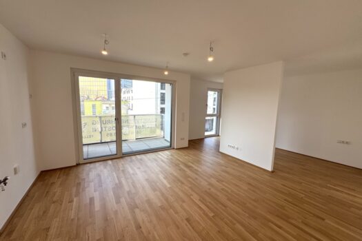 3l1yiMWgqa2vE0oiwSKDO9 1