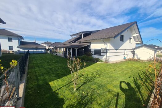 3sJgpCbYyf8QSSh7lmvnAP