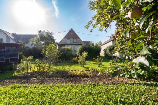 3sZG6T2Y5MFZKiI4jpCID3