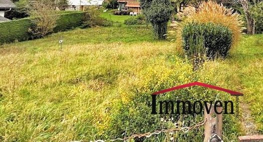 3tf7WwsBlaTWMqThMwkqHJ