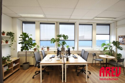 3xNs25i1lyv2wcGmcqgxUM