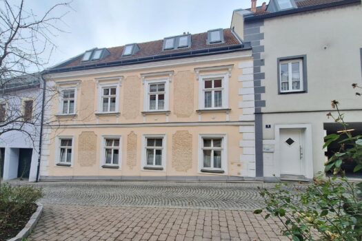 Historische 3-Zimmer Wohnung im Souterrain eines denkmalgeschützten Bürgerhauses - im unsanierten Zustand 20250311_095149-A