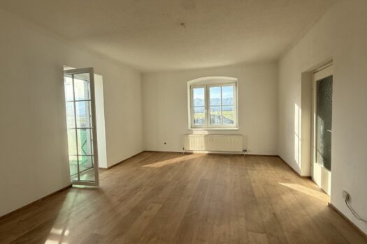 48EmBYUwL2sIAZzYbmalXZ