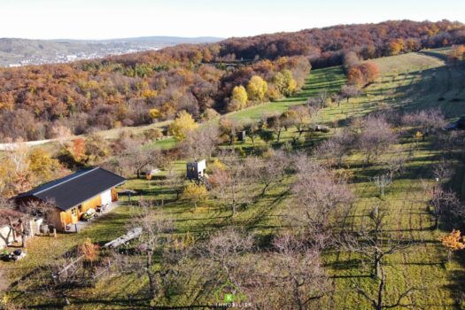 48j2wsMUxeyei5EabmJB4c