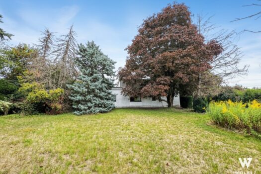 4AWi7bSialfQ0dtI7KwEky