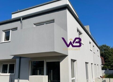 4D2nyScmFXEJy4gW5ZK5ub