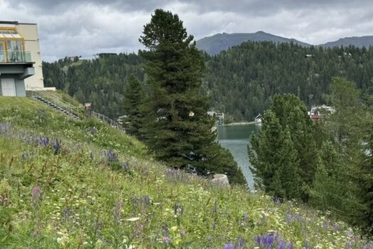 Turracher Höhe - Ein Grundstück mit Seltenheitswert – ideal für eine hochwertige touristische Entwicklung. Baugrundstück für eine Apartmentanlage - DIREKT bei der Piste und der Talstation 4DaLJRlpLubzTQfSDzB7Ih