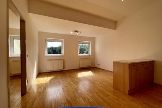 Charmante 2-Zimmer Wohnung mit Balkon und Ausblick ins Grüne - Gründberghof Top 9 4Dp10qLKo0ZFWsBAoO9h6I 1