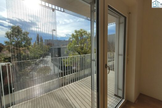 4VvAnSC8GPUMSPHgSt2S6X