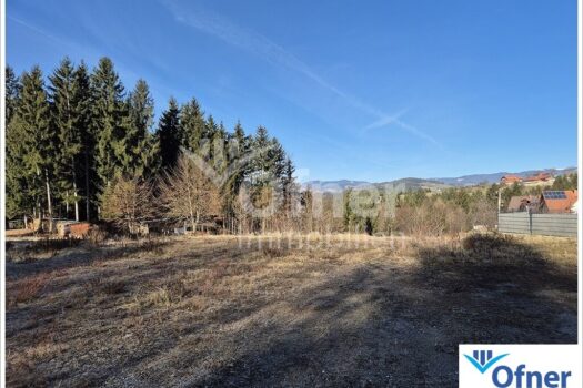 4crbnED8GZQvgTlEEMXzXB