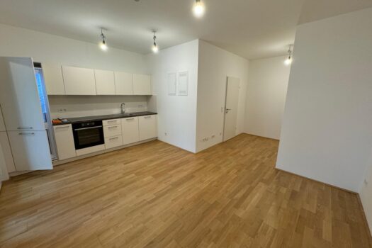 4dMu3RzdOcV91dfpHkYakL