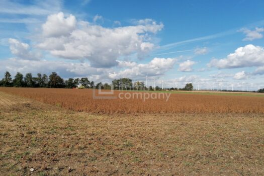 4eQHjiKQjYZhhhnocEmCLw