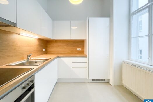 4gXbVYR21JBR588rr5mMqj