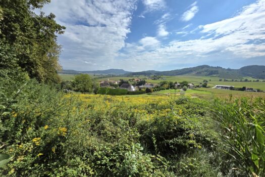 Wohnen am Waldrand mit Fernblick! Grundstück