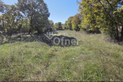 4xK2ZtS8my8qMEncX3IUpi