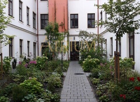 4xhziuTPb9dhQoDWNBe2Bi