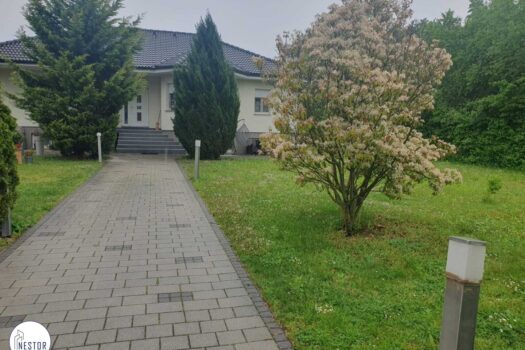 Villa - NESTOR Immobilien