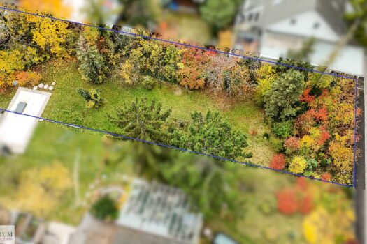 50oHlTUtuzQIzxXzAqmV2g