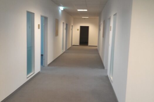 56BjvRMJlkuCs6NgD3Xlbm