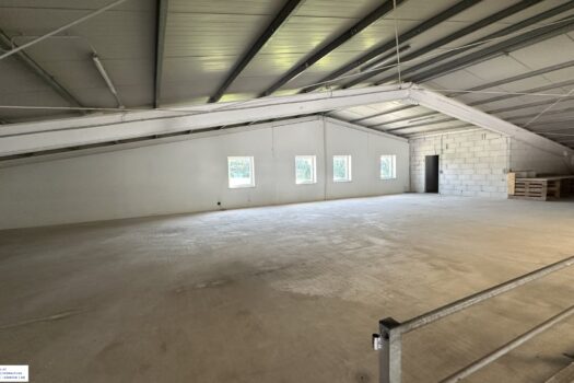 596LyLUHYVh76brVDTRpqp