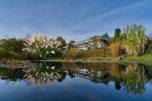 5BKcZvotyvYBnQoBnvmoSX