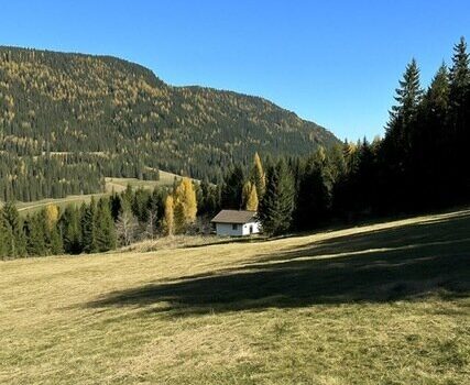 5C4Vr0katG3sqbl6Kb8xM7