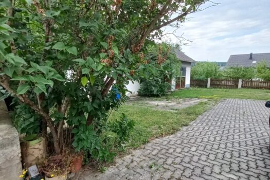 5FH6ah5wL5iwumDZ3qr8L4