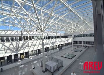 5INNrTwCf7FwAUQgmXaRSr