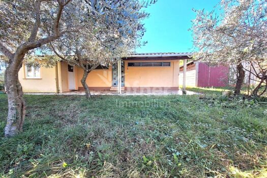 5K7lRU7Zd00gFgQX1xuZK5