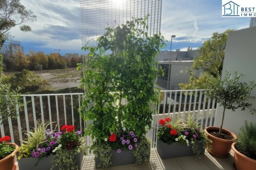 5SWrktUXsz6Wx9z15xKn8L