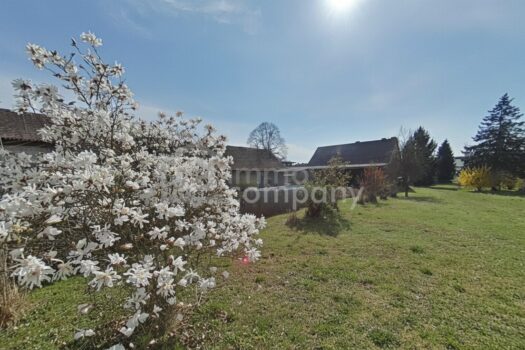 5Wwxey8puyIpRJQhFKKxdD