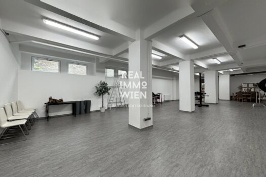 5YZ5Qwbt8k4DM7i3S39xyr