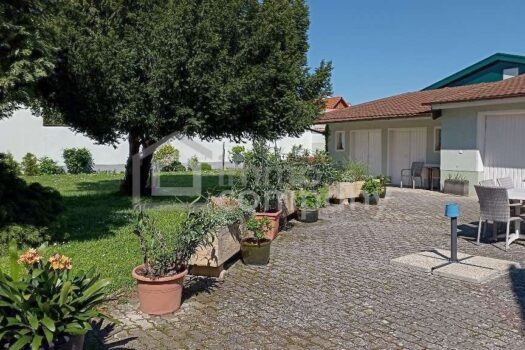 5a3mFhIXVarbkrfP9MnXfm