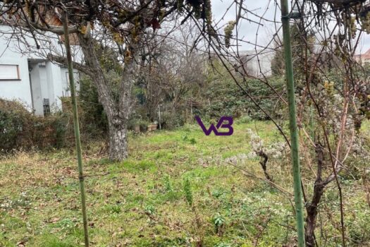 5bKrCjP88ro107xuVWZKki