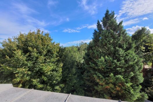 Gemütliches Wohnen am Stadtrand 5mGAco40dkHluTWRVB6xAK