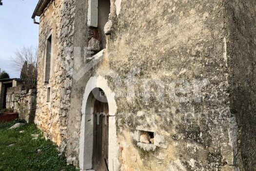 5qXHhZlekhd1CLfLg5doOl