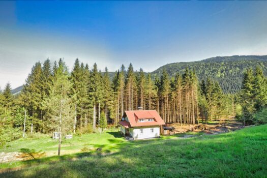 5rjzRRU9OUpNlemqRfo815