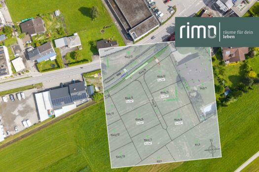 5uUkqCC8BZ50COlizjOyXz