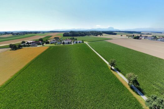 5vVICzpHpLziLr0qYIRenf