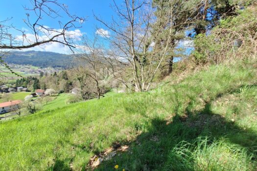 5xbiRdd4uINQwMJjZtAHqv 1