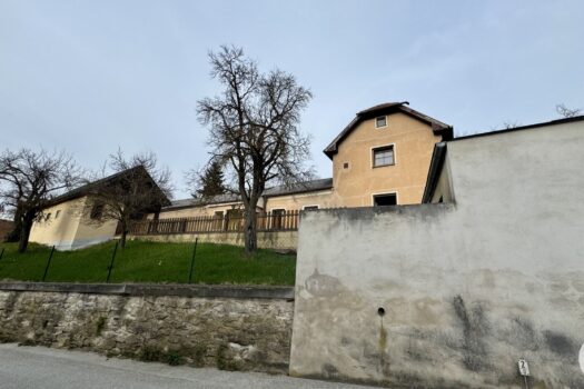 5znyP5jLSGQerjfT3a9nV8