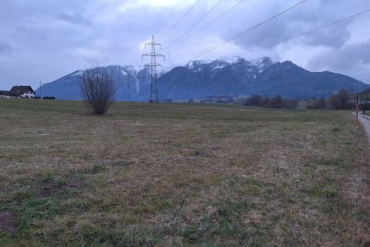 6155WGrFtvVE8TfeBtzs1S