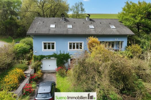 Drohnenbild (bearbeitet)