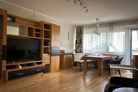 67n3qNlXlPFqGfeyVSztZD